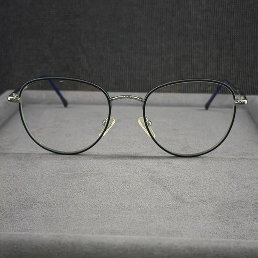 DSC Silber 10010