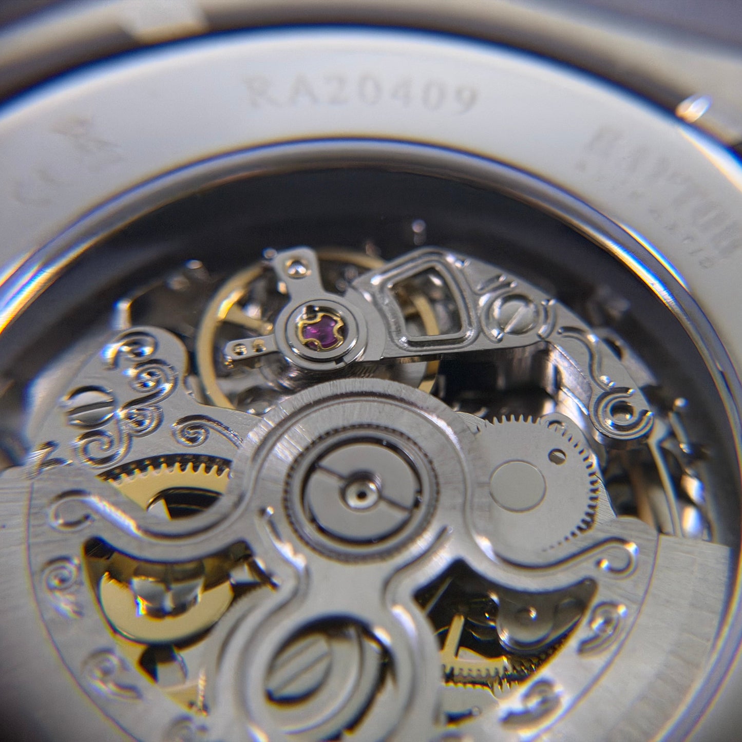 Raptor Skelettiert Silber