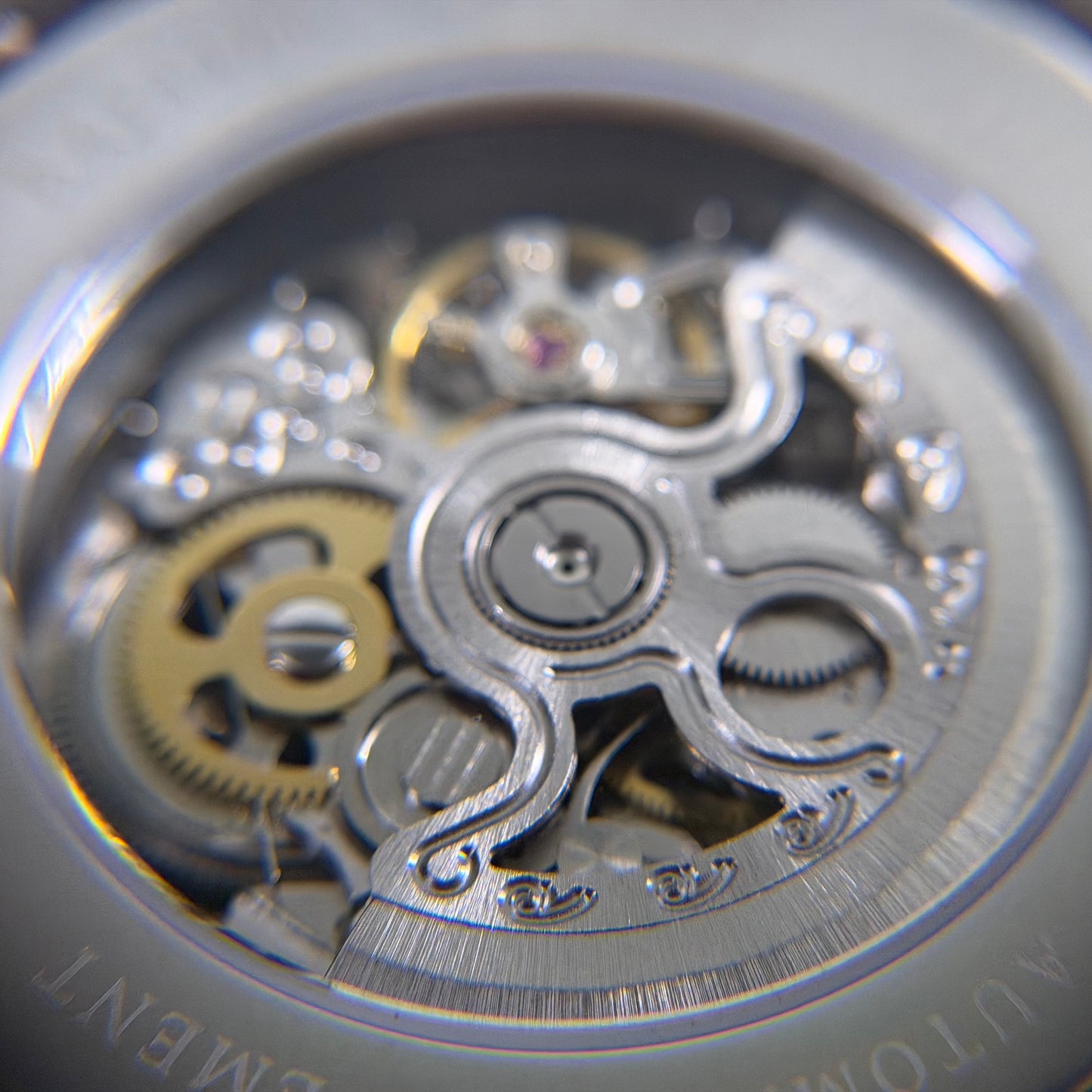 Raptor Skelettiert Bicolour